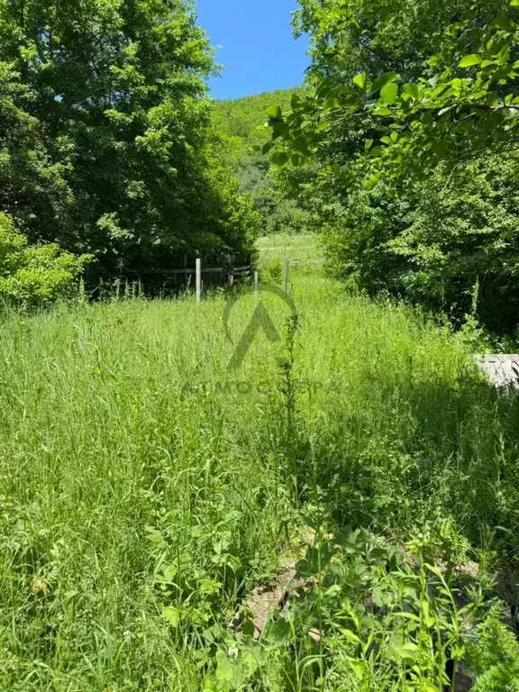 Участок в Краснодарский край, Апшеронский район, пос. Мезмай Высокая ... - Фото 2