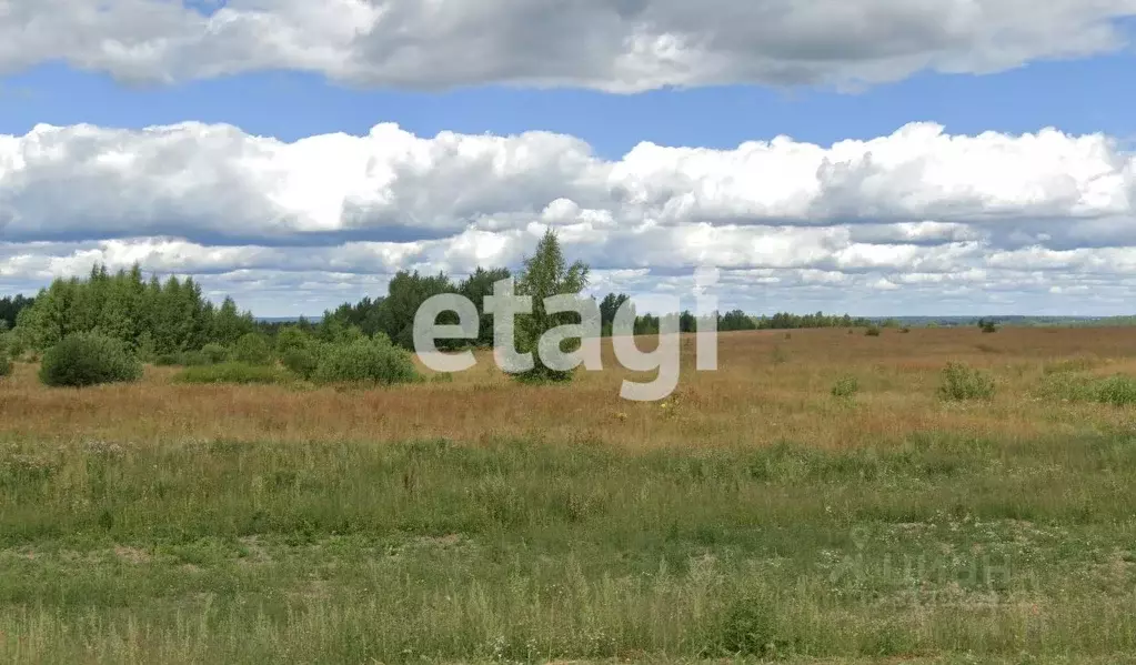 Участок в Костромская область, Костромской район, Середняковское ... - Фото 0