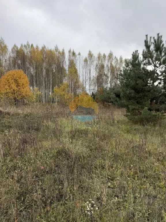 Участок в Тверская область, Конаковский муниципальный округ, д. ... - Фото 2