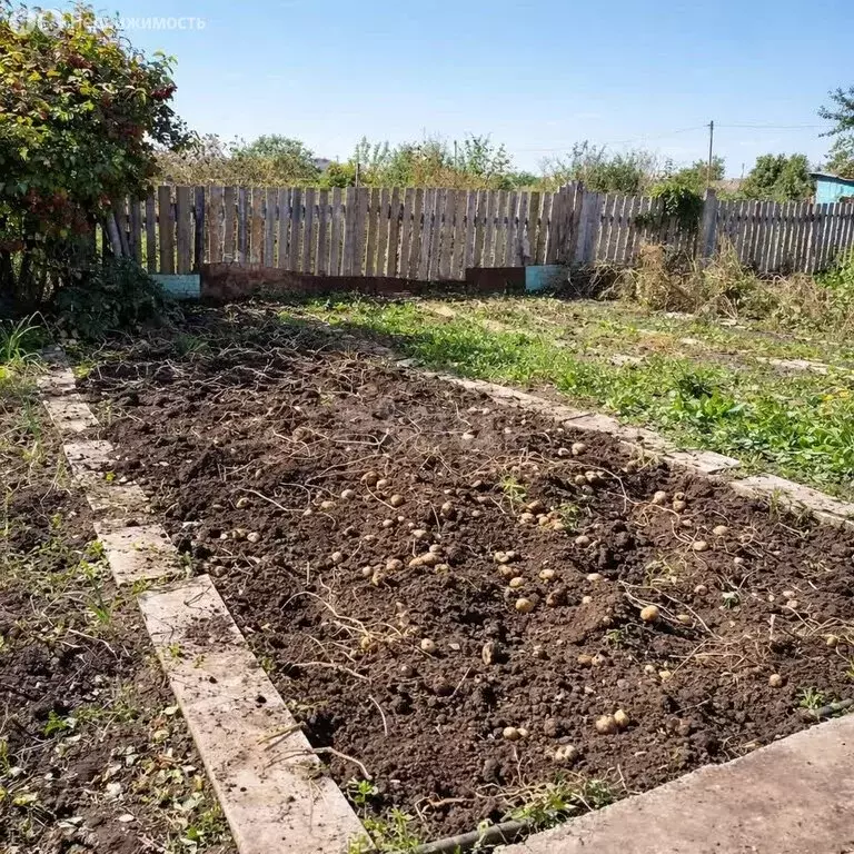 Участок в Стерлитамак, СНТ Агидель, 10-й переулок (6.8 м) - Фото 2