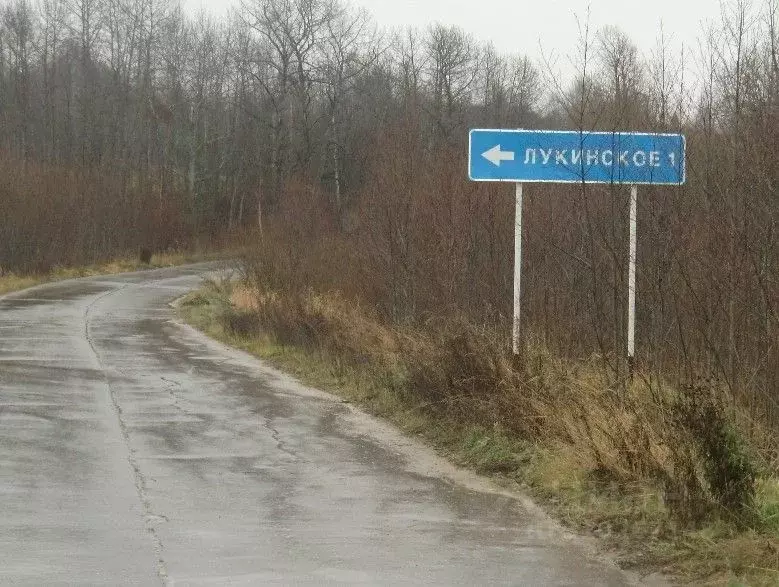 Участок в Вологодская область, Кирилловский муниципальный округ, д. ... - Фото 1