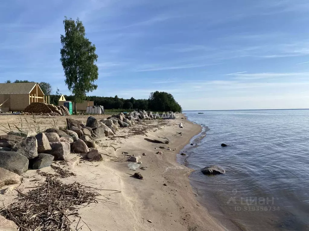 Участок в Ярославская область, Рыбинский муниципальный округ, д. ... - Фото 0