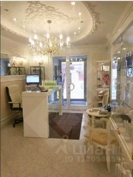 Помещение свободного назначения в Москва Кутузовский просп., 35 (149 ... - Фото 2