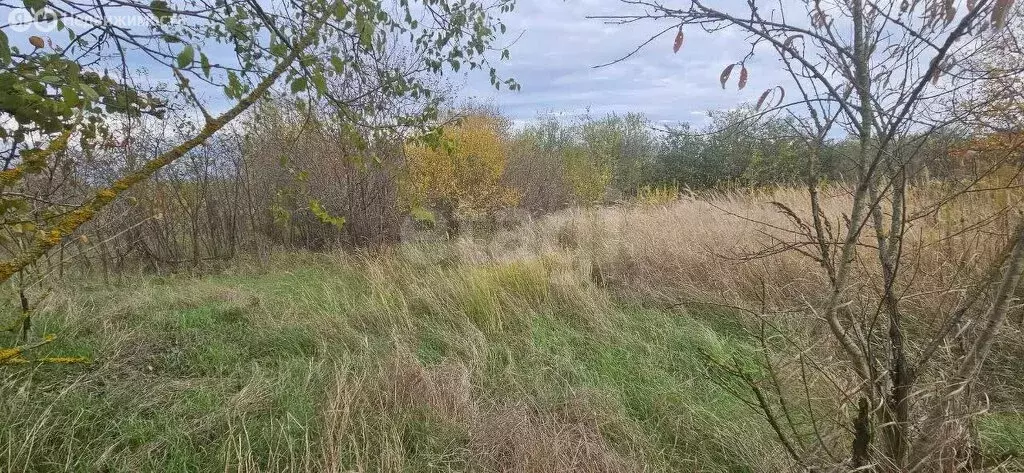 Участок в Белореченск, СОТ Ветерок (9.01 м) - Фото 1