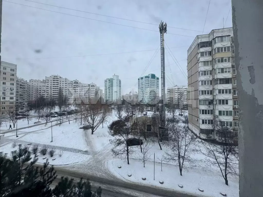 3-к кв. Белгородская область, Белгород ул. Щорса, 49 (76.0 м) - Фото 1