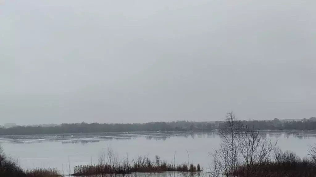 Участок в Московская область, Богородский городской округ, д. Стулово ... - Фото 1