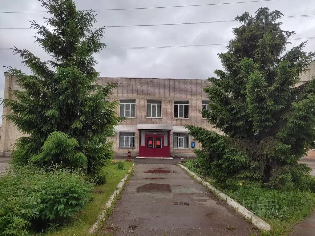 Помещение свободного назначения в Самарская область, Похвистнево ... - Фото 1