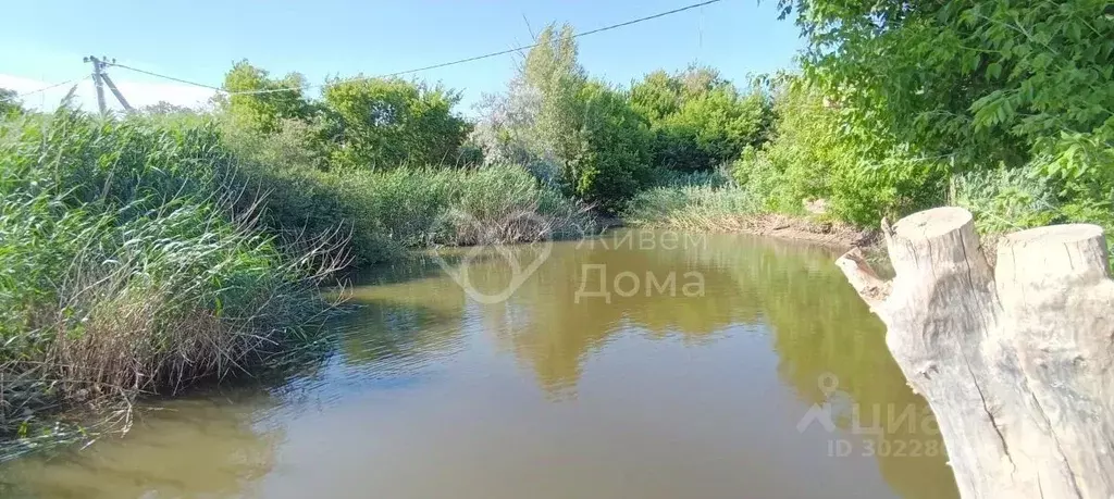 Участок в Волгоградская область, Волгоград Наука СНТ, 70 (6.37 сот.) - Фото 1