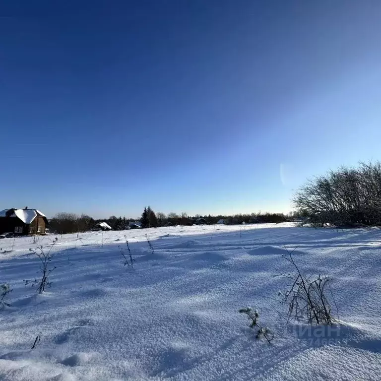 Участок в Ленинградская область, Ломоносовский район, Ропшинское ... - Фото 2
