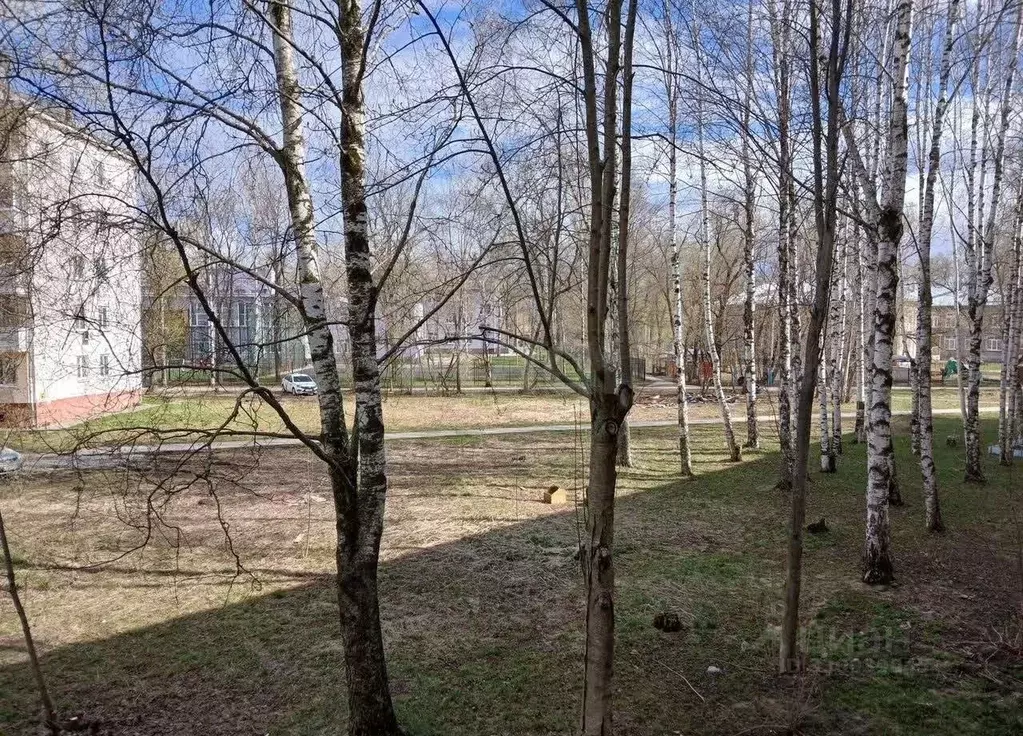 2-к кв. Пермский край, Пермь ул. Крупской, 86А (46.9 м) - Фото 2