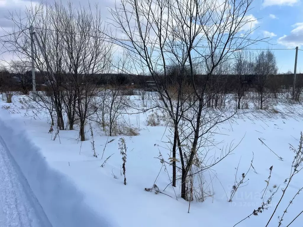 Участок в Хабаровский край, Хабаровский район, с. Некрасовка, ... - Фото 2
