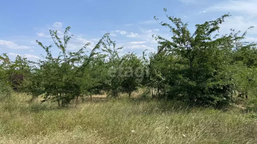 Участок в Адыгея, Теучежский район, Тлюстенхабльское городское ... - Фото 0