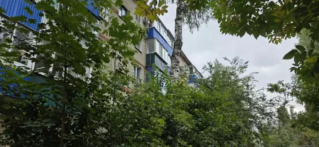 1-к кв. Липецкая область, Елец ул. Коммунаров, 103 (30.0 м) - Фото 0