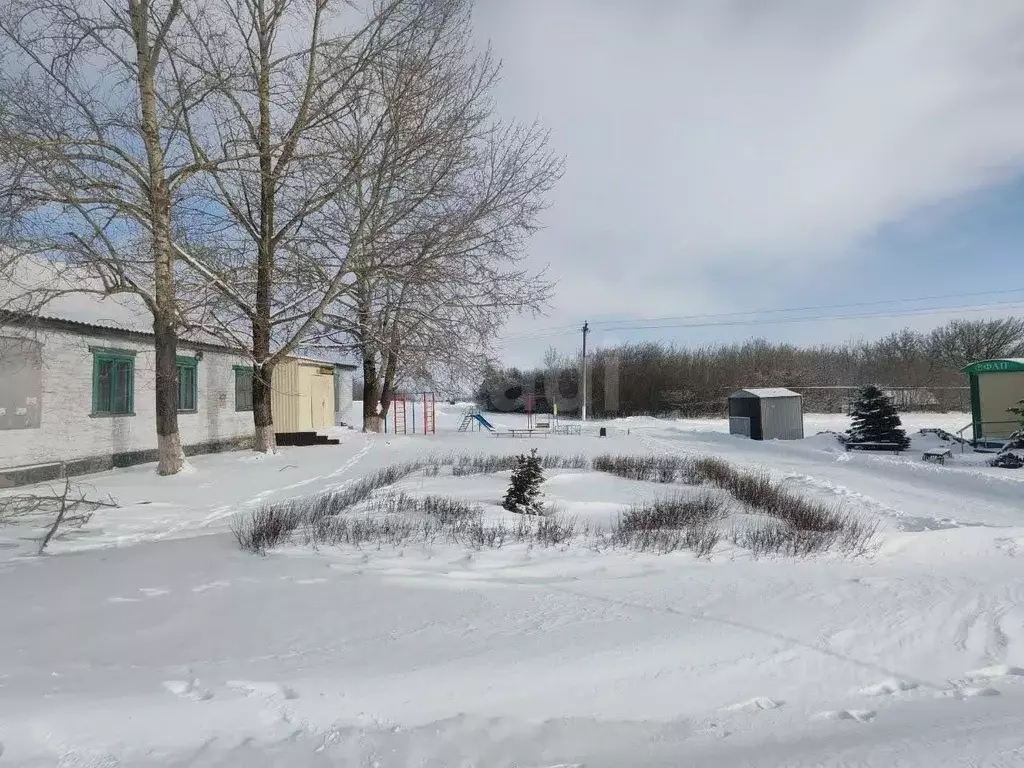 Торговая площадь в Белгородская область, Вейделевский район, ... - Фото 1
