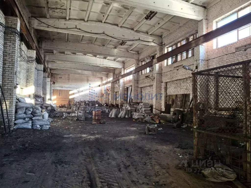 Помещение свободного назначения в Нижегородская область, Семеновский ... - Фото 1