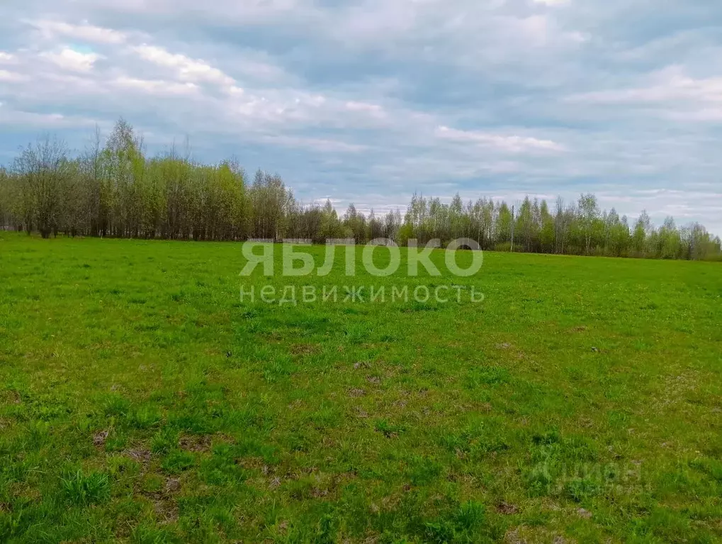 Участок в Пермский край, Березники муниципальное образование, д. ... - Фото 1