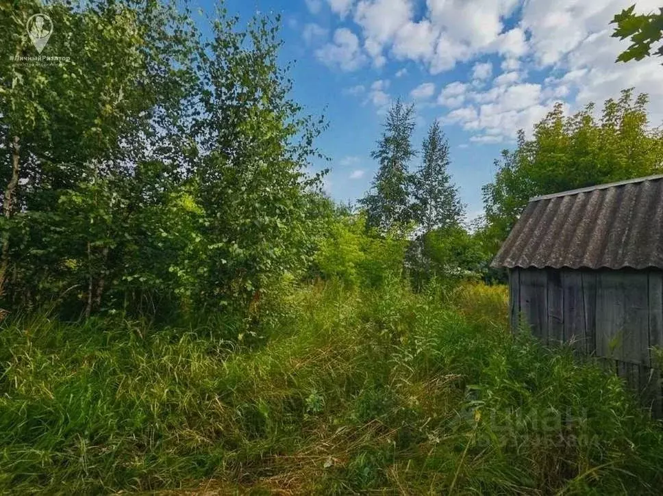 Участок в Рязанская область, Шиловский муниципальный округ, с. ... - Фото 1