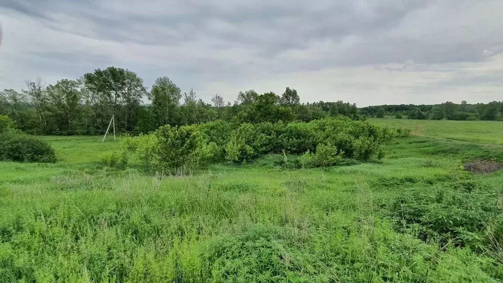 Участки волжский. Выползово Самарская область.