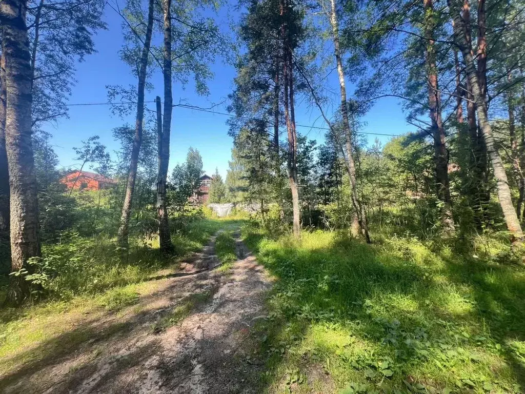 Участок в Владимирская область, Петушинский район, Нагорное ... - Фото 1