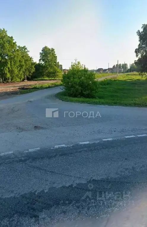 Участок в Новосибирская область, Новосибирский район, Морской ... - Фото 2