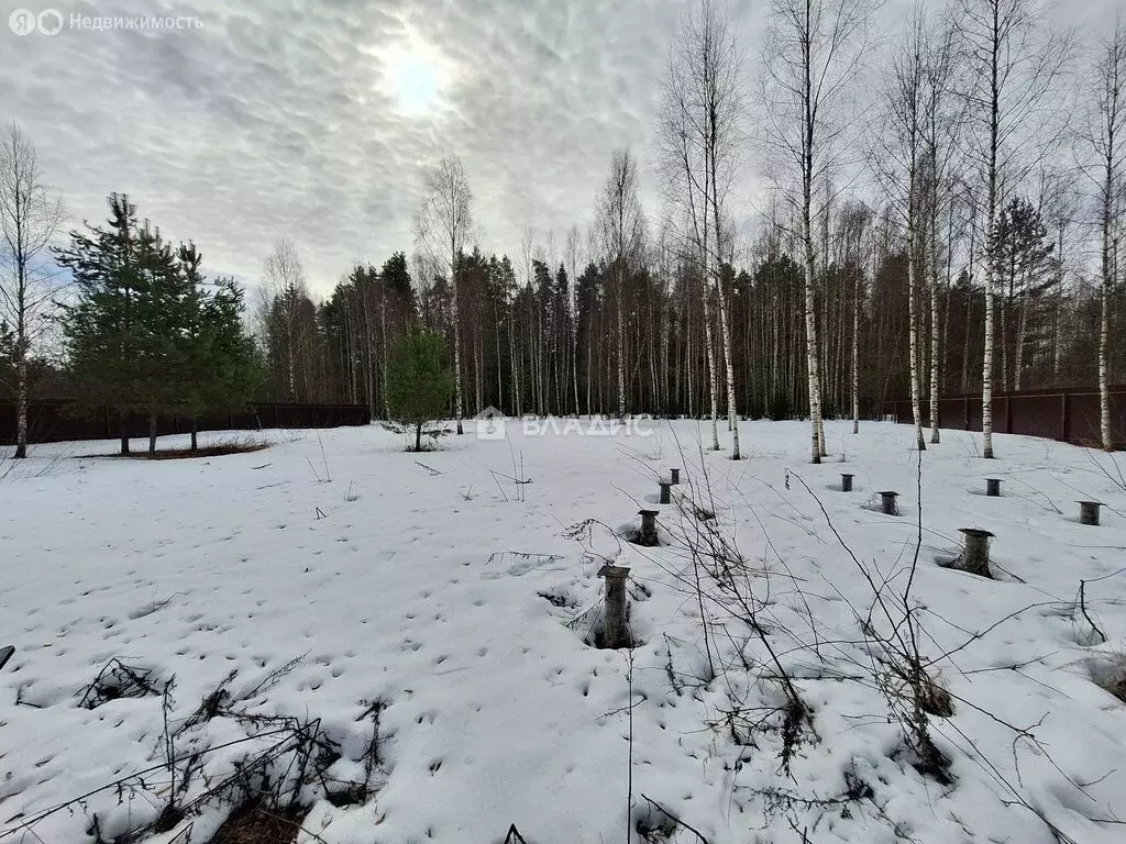 Участок в Ивановский муниципальный округ, садоводческое некоммерческое ... - Фото 1