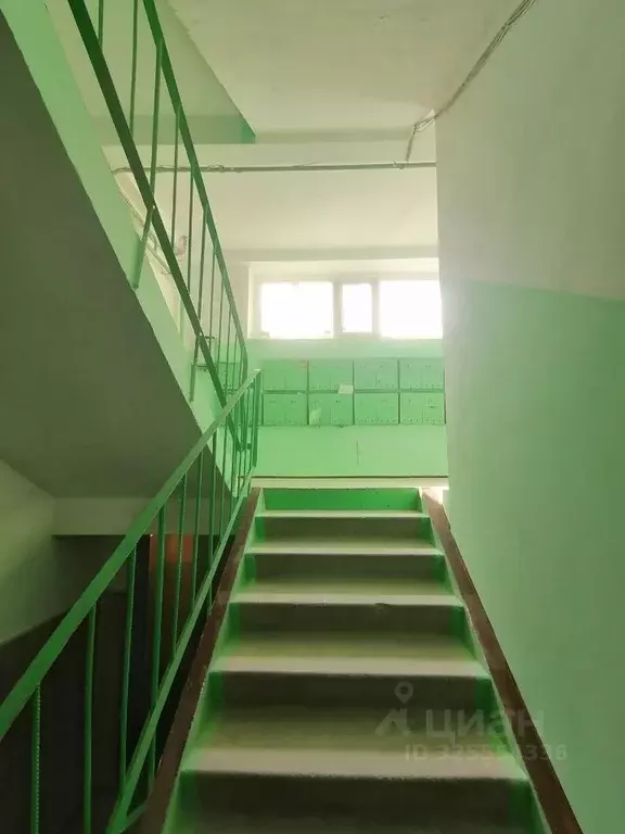 2-к кв. Омская область, Омск Пригородная ул., 17 (62.4 м) - Фото 2