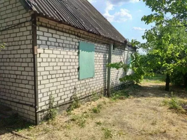 Дом в Волгоградская область, Волгоград Восход СНТ, 1-я линия (60 м) - Фото 0