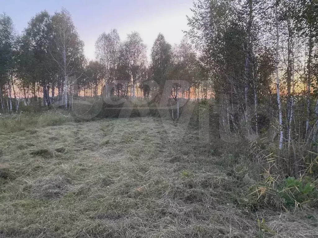 Участок 5 сот. (СНТ, ДНП) - Фото 1