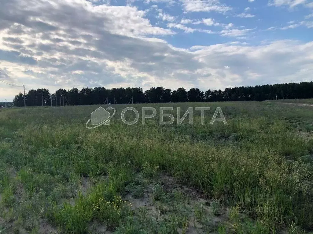 Участок в Тюменская область, Тюменский муниципальный округ, д. ... - Фото 2