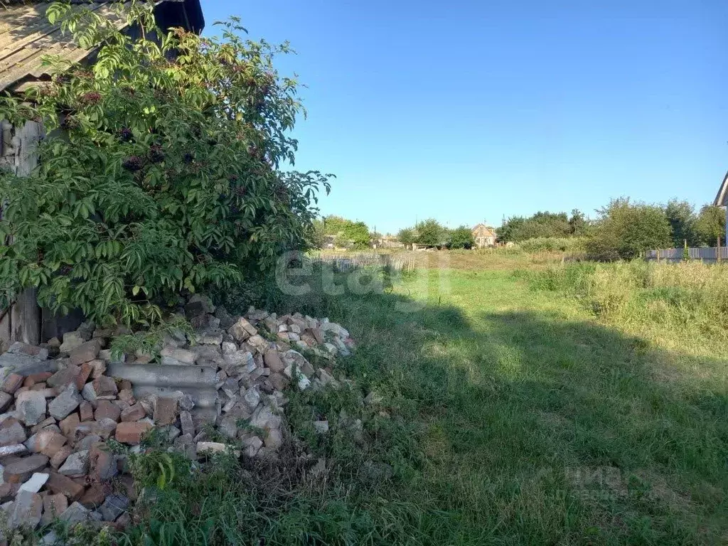 Дом в Белгородская область, Волоконовка рп ул. Гагарина, 37 (31 м) - Фото 1