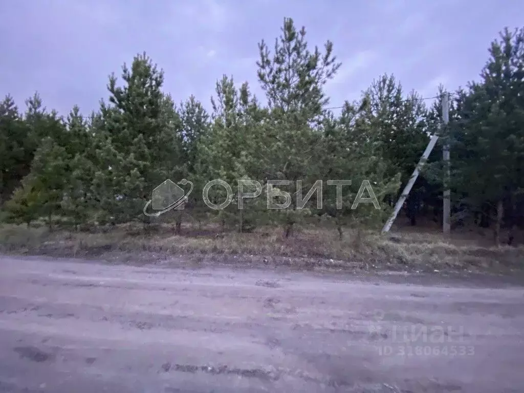 Участок в Свердловская область, Тугулым пгт  (16.0 сот.) - Фото 0