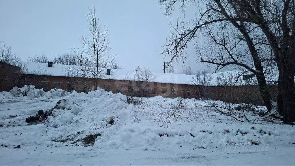 Склад в Новосибирская область, Ордынский район, пос. Чернаково ул. ... - Фото 1