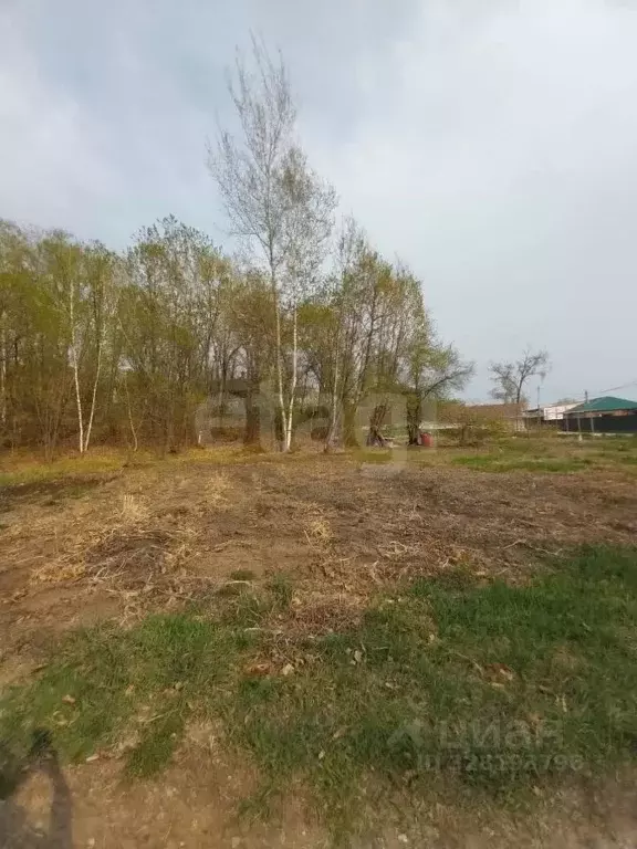 Участок в Амурская область, Благовещенск Лесник СТ, 9 (8.5 сот.) - Фото 0