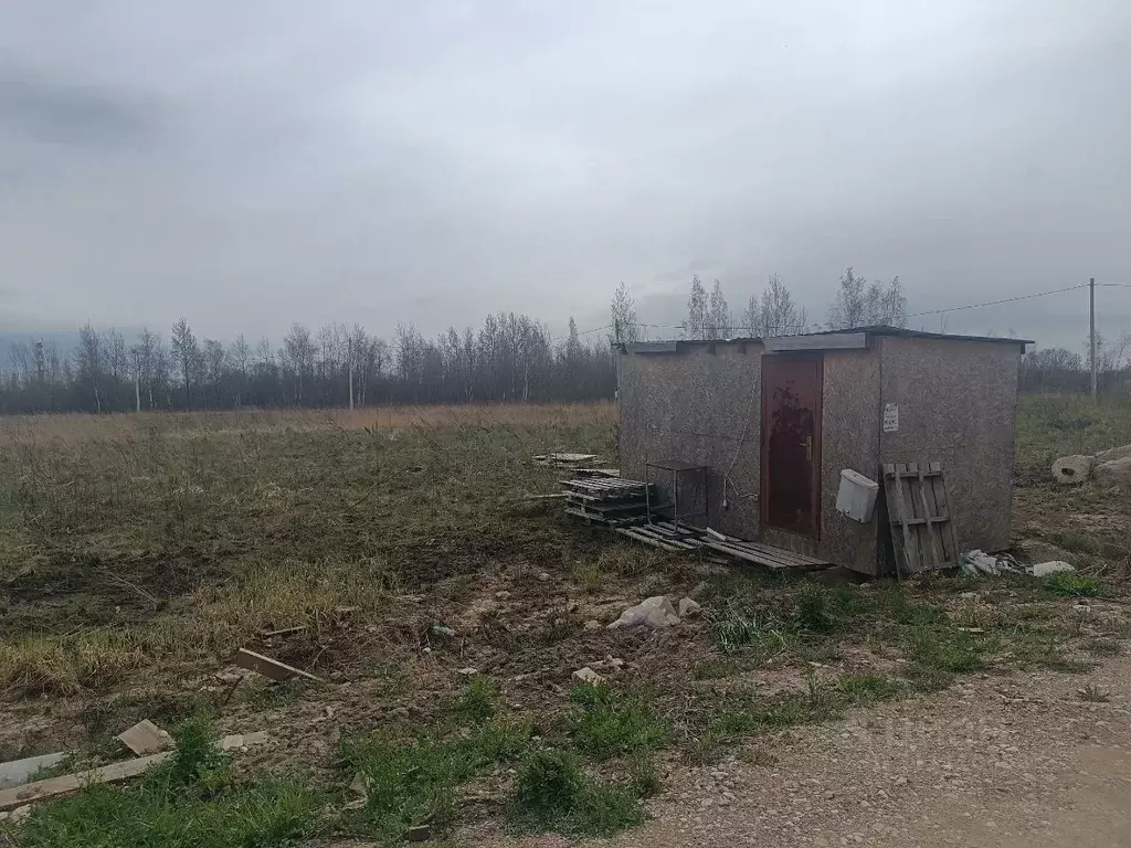 Участок в Новгородская область, Новгородский район, Ермолинское с/пос, ... - Фото 0