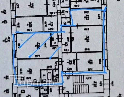 Комната Санкт-Петербург ул. Беринга, 3 (22.3 м) - Фото 2