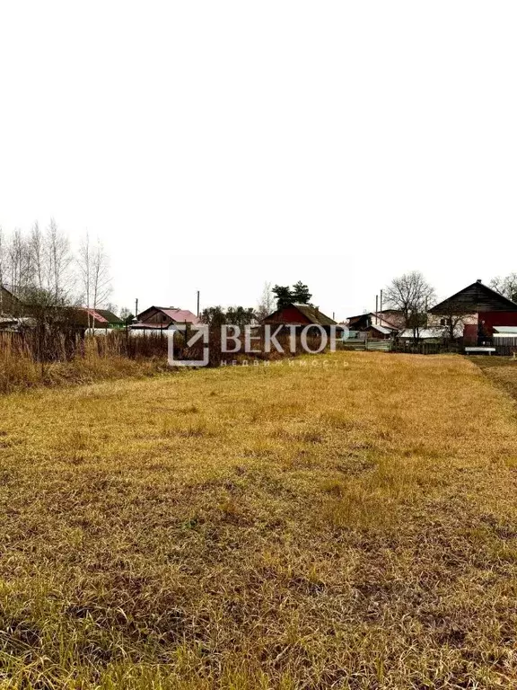 Участок в Костромская область, Костромской район, Шунгенское с/пос, д. ... - Фото 2