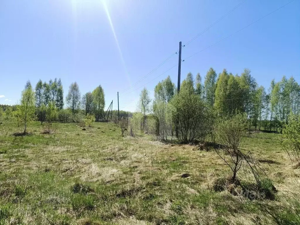 Участок в Ярославская область, Ярославский муниципальный округ, д. ... - Фото 2