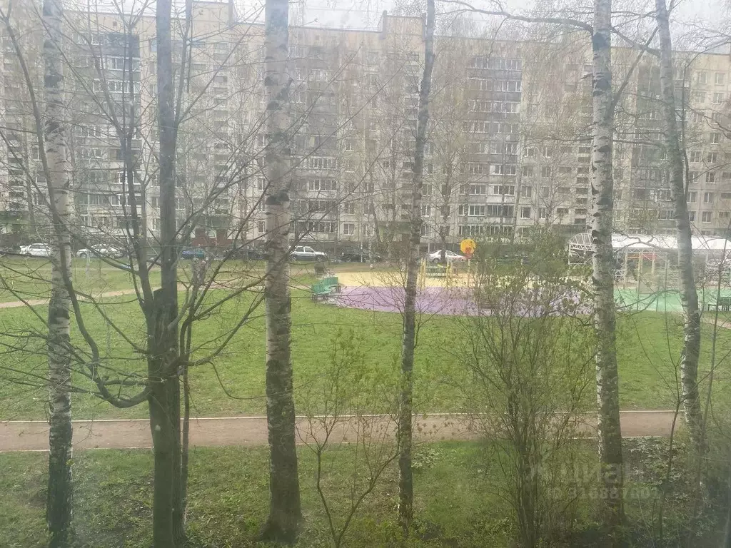 Комната Санкт-Петербург ул. Черкасова, 3 (18.0 м) - Фото 0