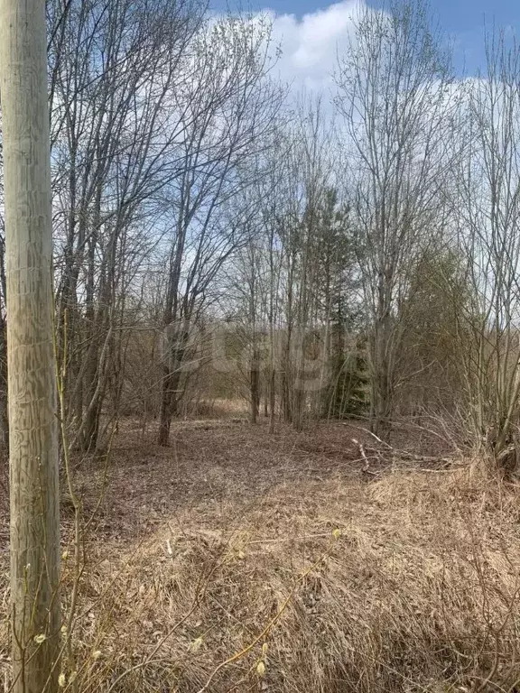 Участок в Ленинградская область, Всеволожский район, Лесколовское ... - Фото 0