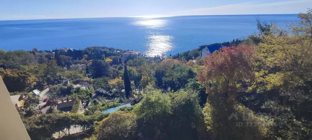 Студия Крым, Алупка ул. Солнечная, 3 (21.0 м) - Фото 1