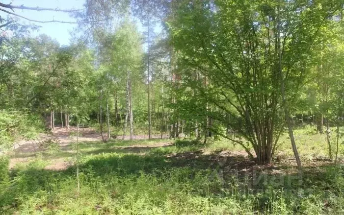 Участок в Московская область, Коломна городской округ, с. Пирочи  ... - Фото 0