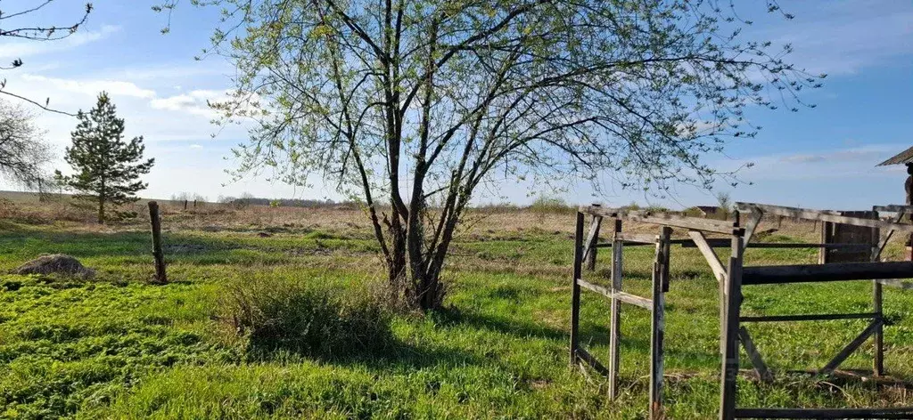 Участок в Свердловская область, Режевской муниципальный округ, с. ... - Фото 2