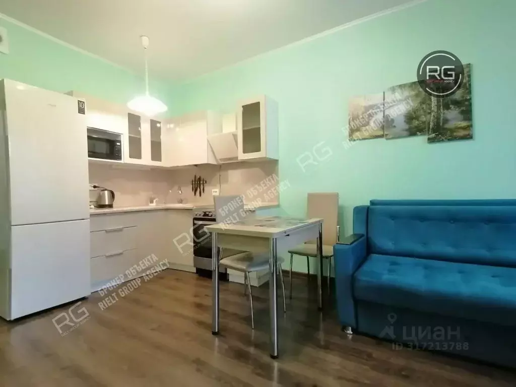 Студия Ленинградская область, Мурино Всеволожский район, просп. ... - Фото 0