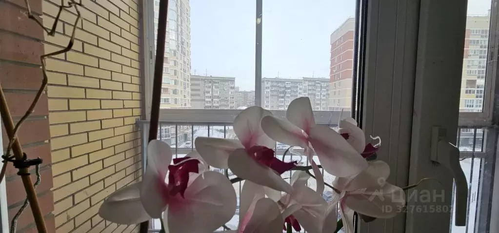 2-к кв. Удмуртия, Ижевск ул. Карла Маркса, 455 (61.8 м) - Фото 1