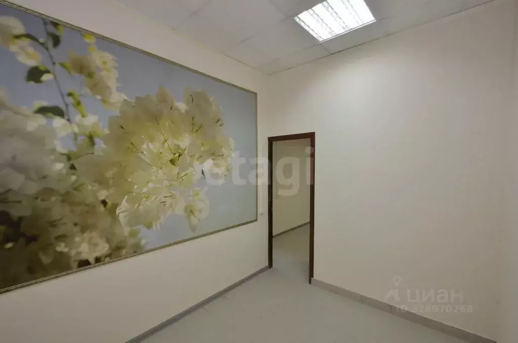 Помещение свободного назначения в Тверская область, Тверь Московская ... - Фото 1