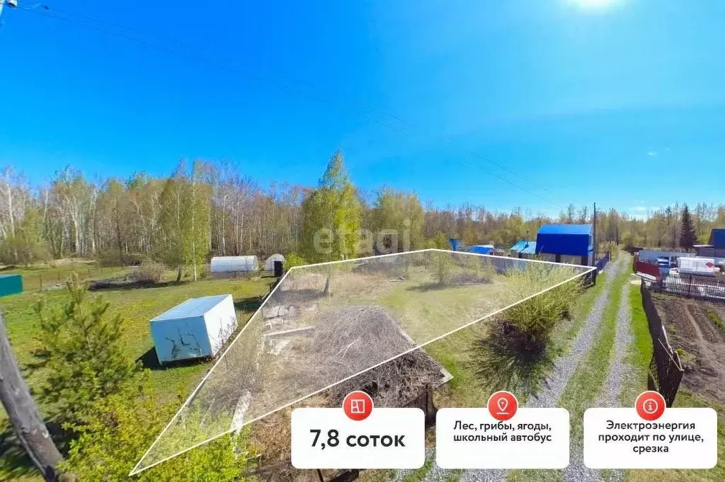 Участок в Тюменская область, Тюменский муниципальный округ, Нива СНТ ... - Фото 0