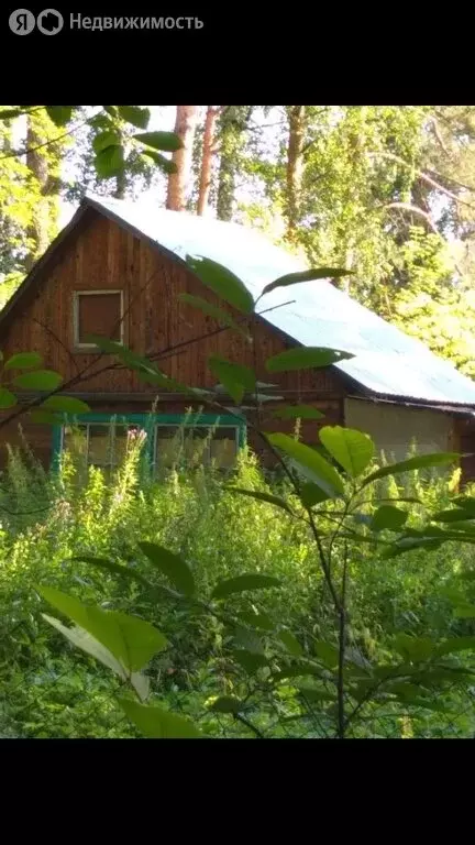 Дом в Болотнинский район, Новобибеевский сельсовет (35 м) - Фото 0