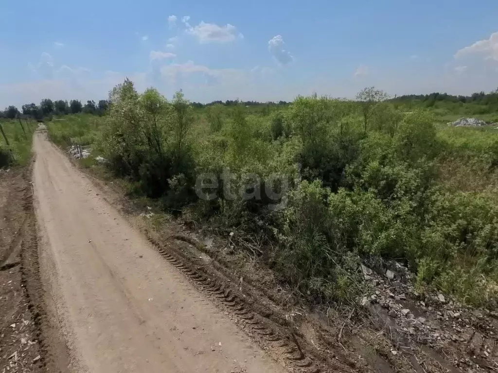 Участок в Тюменская область, Нижнетавдинский муниципальный округ, ... - Фото 1