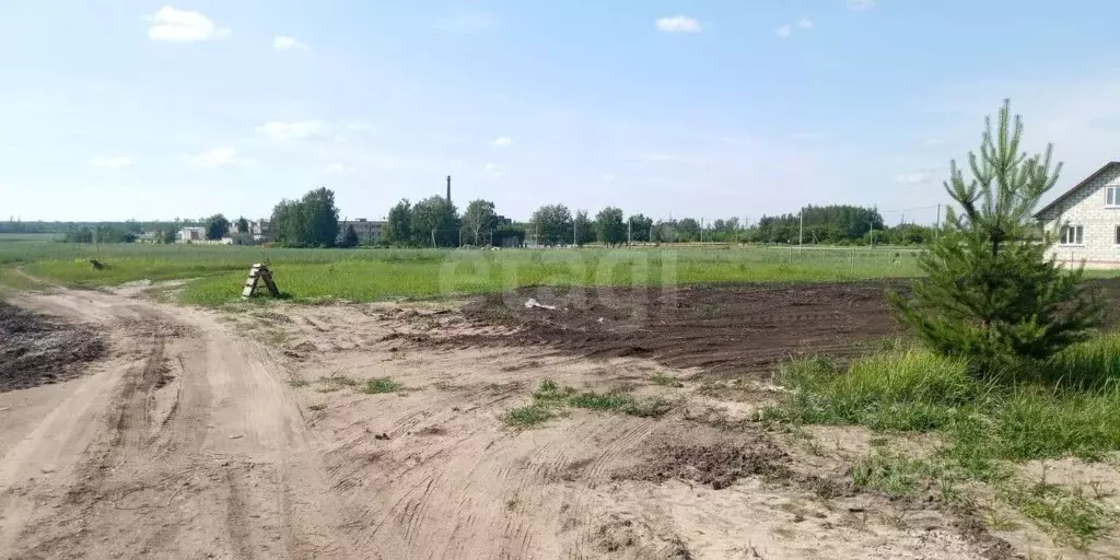 Участок в Мордовия, Ковылкино ул. Желябова (10.0 сот.) - Фото 1