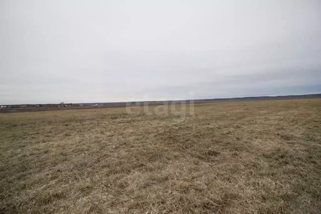 Участок в Калужская область, Дзержинский муниципальный округ, с. ... - Фото 1